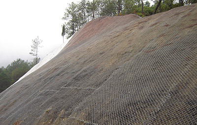 Super Mulch on Roadside