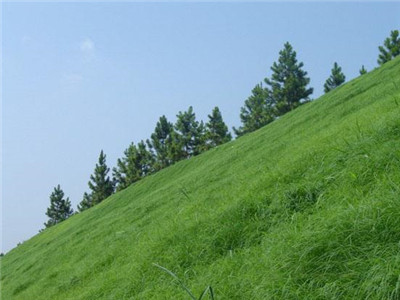 Hydroseeding machine for landscape project