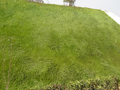 Spray lawn hydroseeding and Soil Sieving Machine used in greening