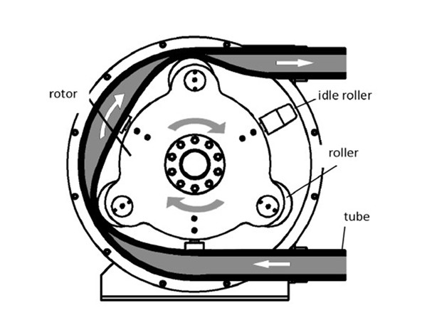 working principle of hose pump for pumping latex