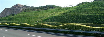 grass and seeds hydroseeding equipment