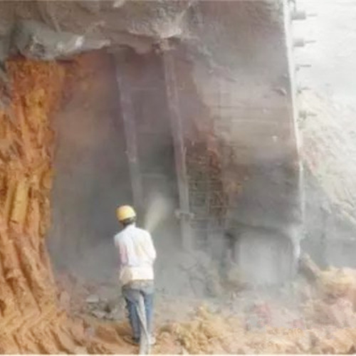 Shotcrete technology in tunnel construction