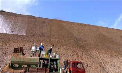 hydroseeding machine Malaysia