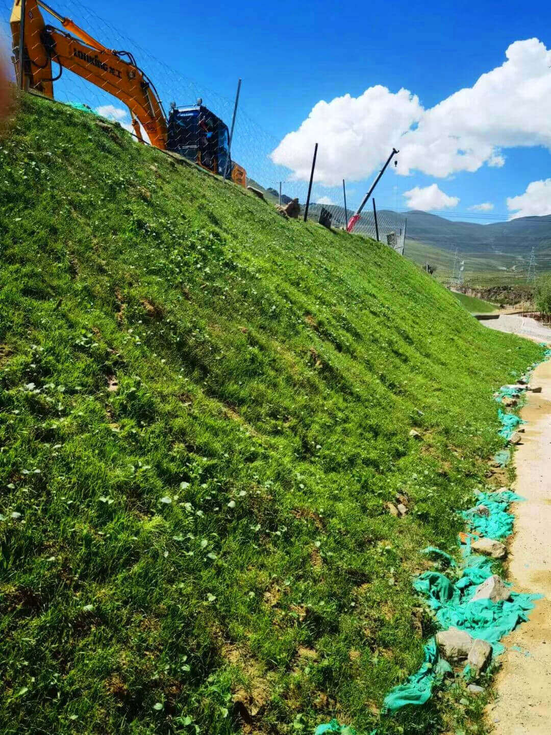 Hydromulch for mine site revegetation