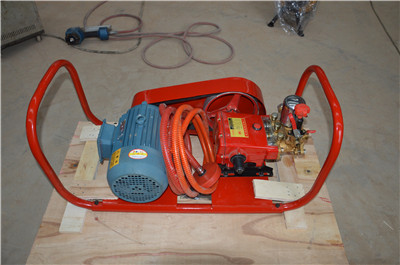 High pressure water pump