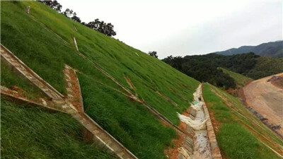 hydroseeding machine