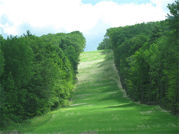 hydroseeding for mining