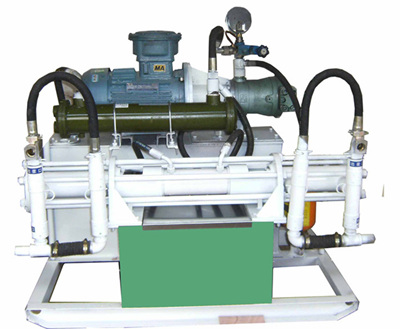 double liquid injection pump