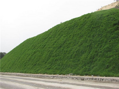 hydroseeding for road greening