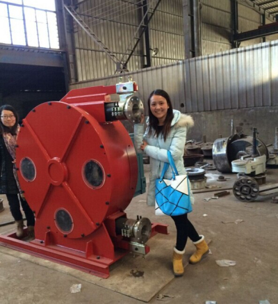 China industrial hose squeeze pump 