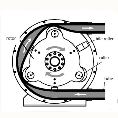 Hose pump theory