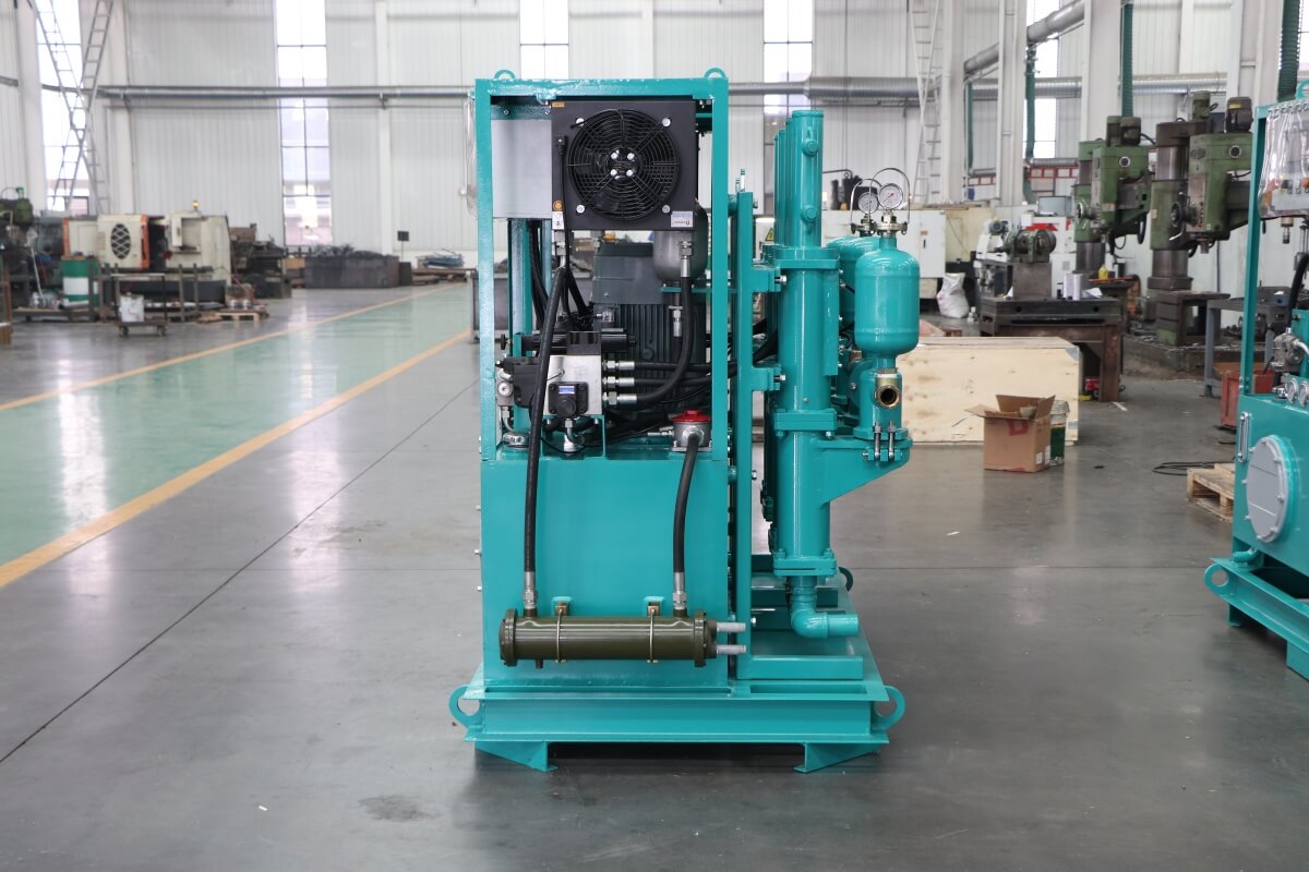 Double plunger injection pump